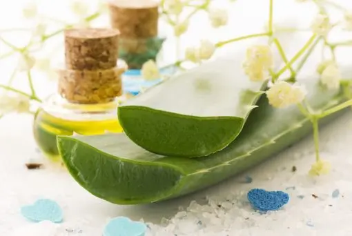 Aloe Vera Oil, 100ml