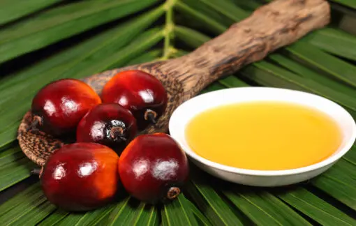 Palm Oil, 1litre