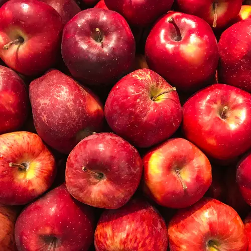 Apple Fragrance Oil, 10ml