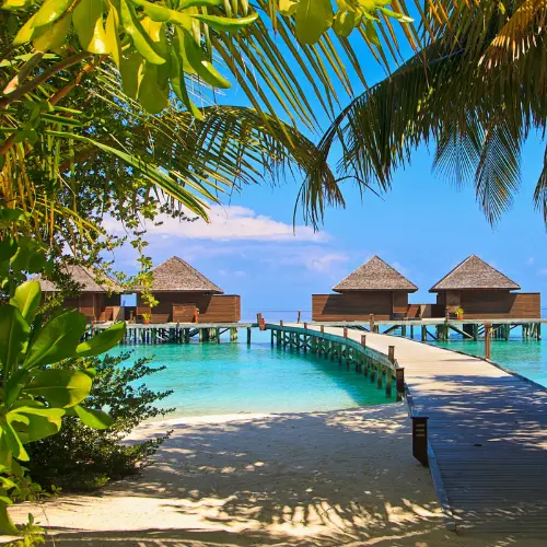 Exotica Fragrance, 10ml