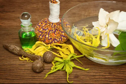 Ylang Ylang Fragrance, 10ml