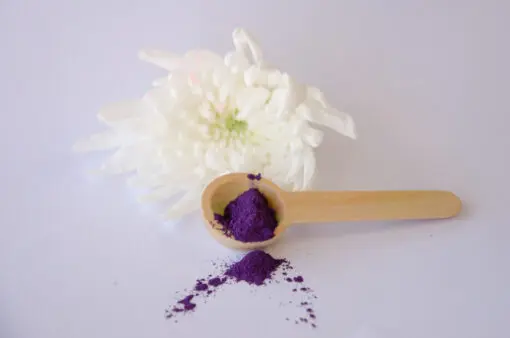 Purple Bath Salt Dye, 10g 