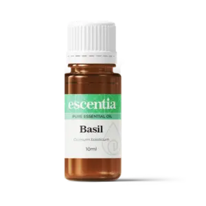 Basil Essential Oil, 10ml