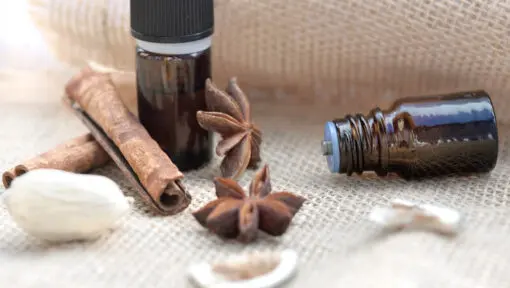 Cinnamon Fragrance, 10ml