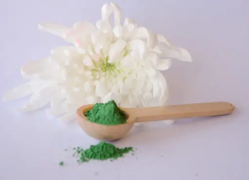 Emerald Green Bath Salt Dye, 10g     