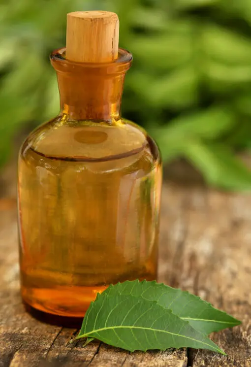 Neem Oil, 100ml